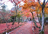 20111209京都嵐山